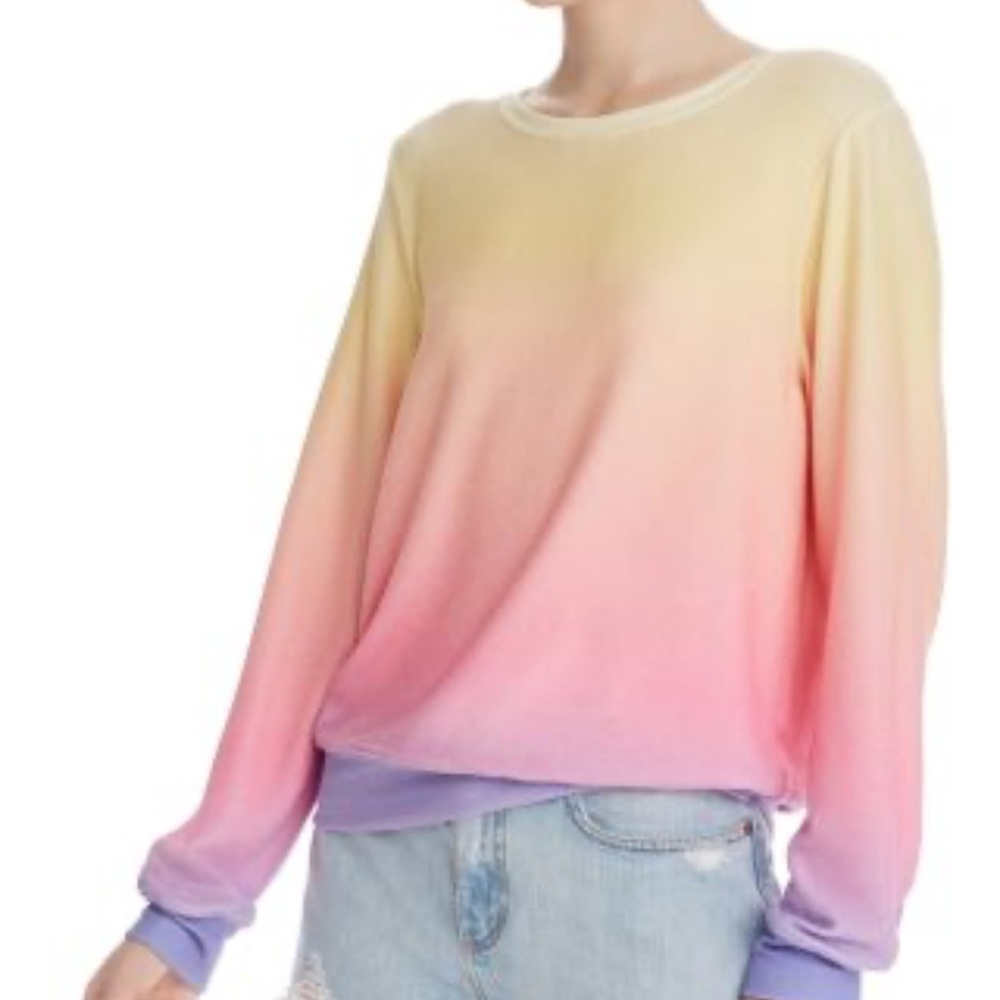 ISO Wildfox Ombre Sweatshirt in Small or Medium